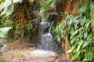 Waterfall along Diaper Track