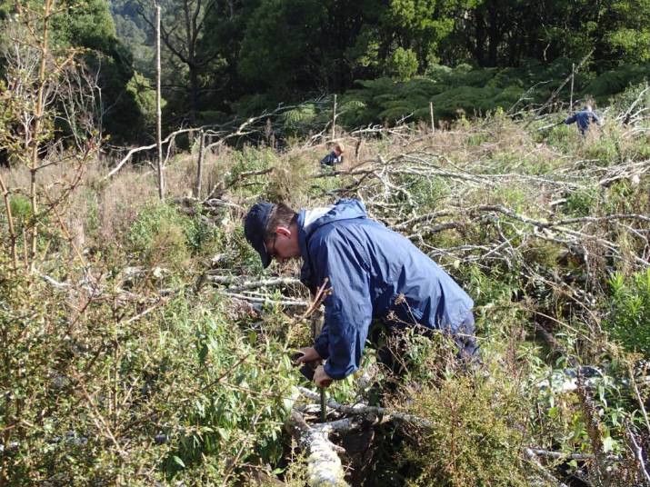 Richard in Action Richard in Action