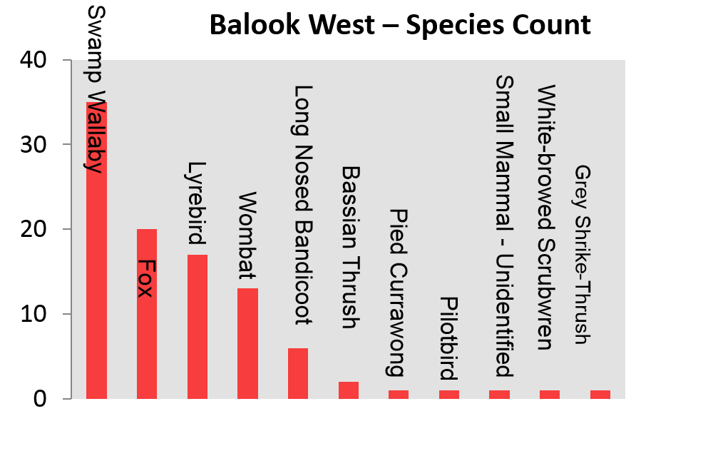 Balook West - Species Count