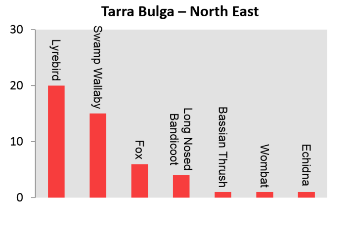 Tarra Bulga North East