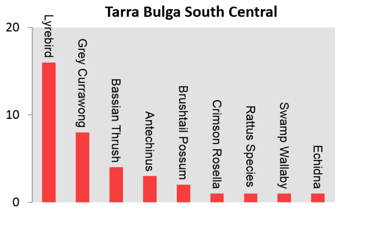 Tarra Bulga South Central