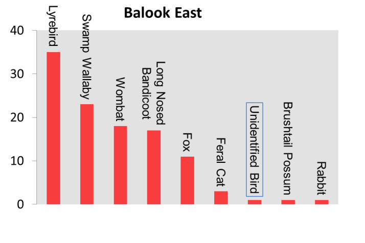 Remote Camera Species Count Camera 7