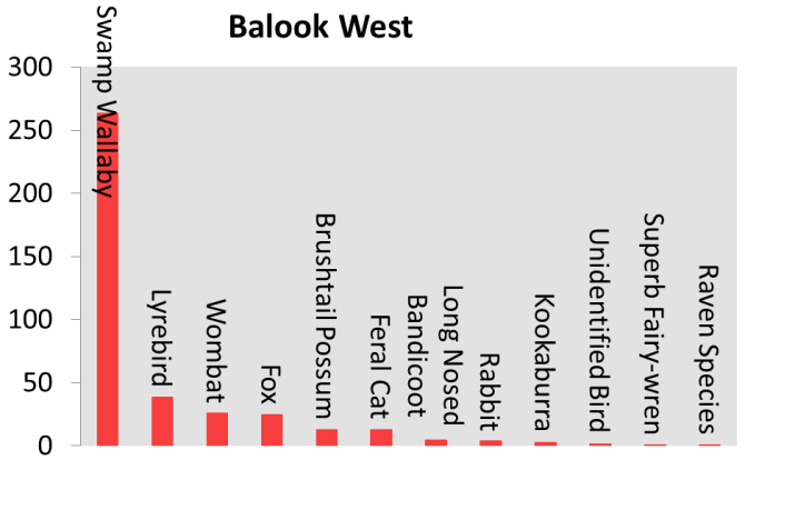 Remote Camera Species Count