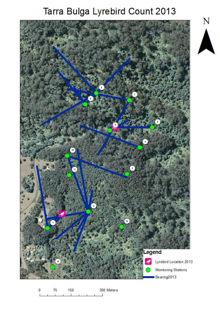 lyrebird count 2013