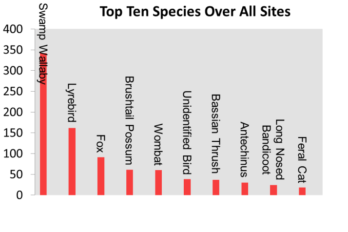 Most Common Species - All Sites