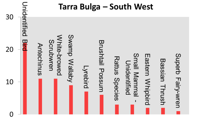 Tarra Bulga South West - Animal Visits