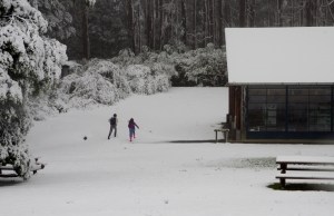 Next to the Visitors Centre