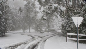 Visitors Centre Entrance