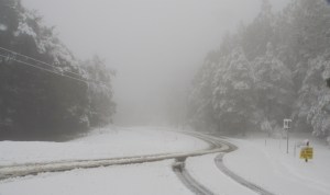 Grand Ridge Rd next to Park Entrance