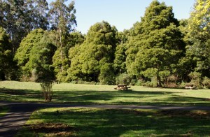 Picnic Area - bright and sunny today