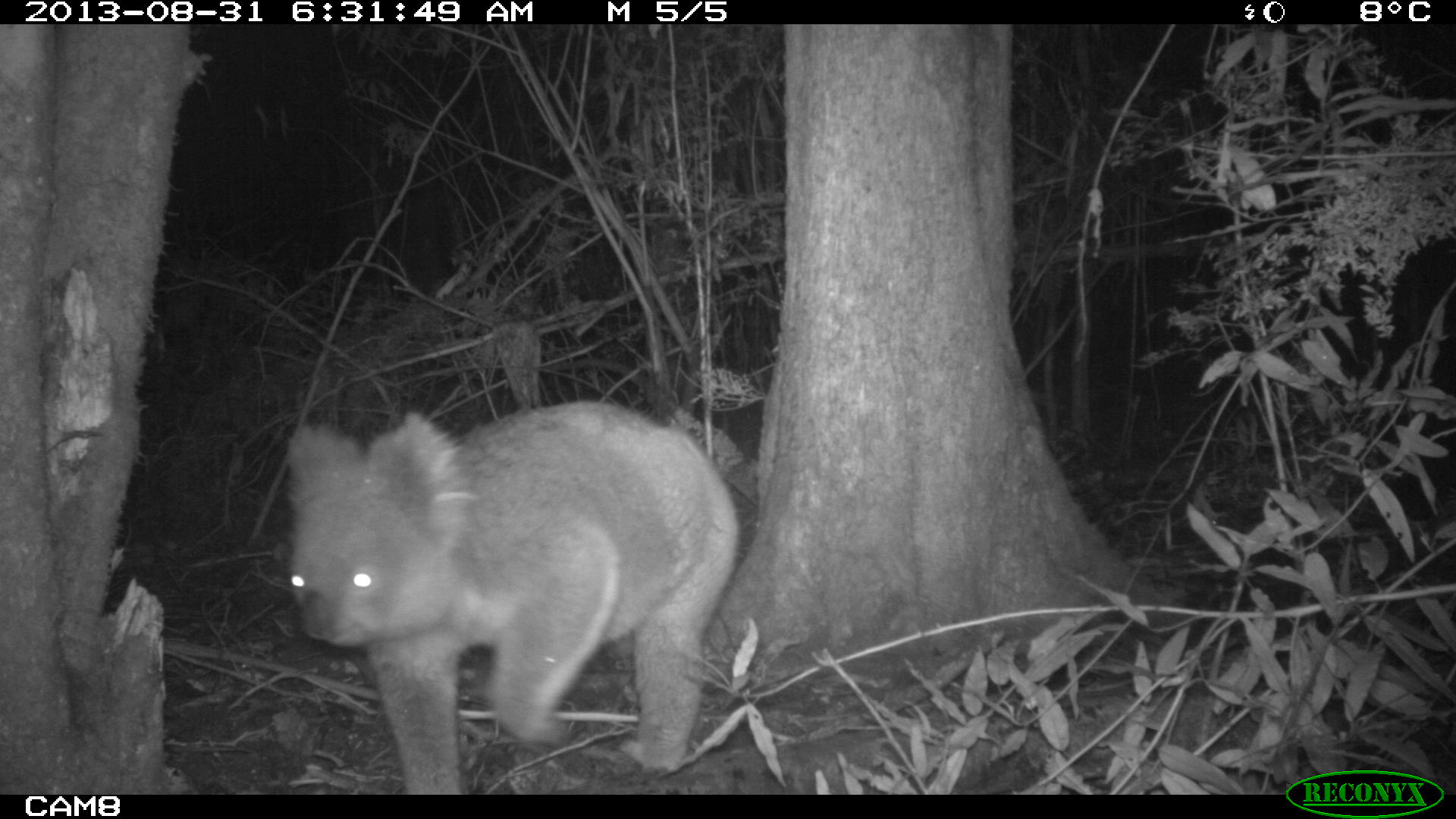 31st of August 6.31am