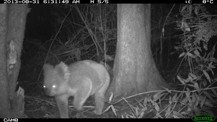 31st of August 6.31am