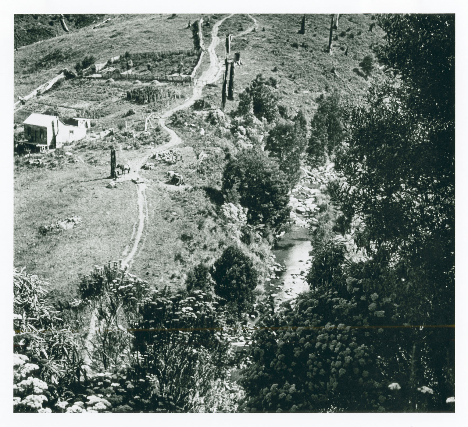 Hill farm in the Tarra Valley - (Source:  Monash Uni Gipps Studies)