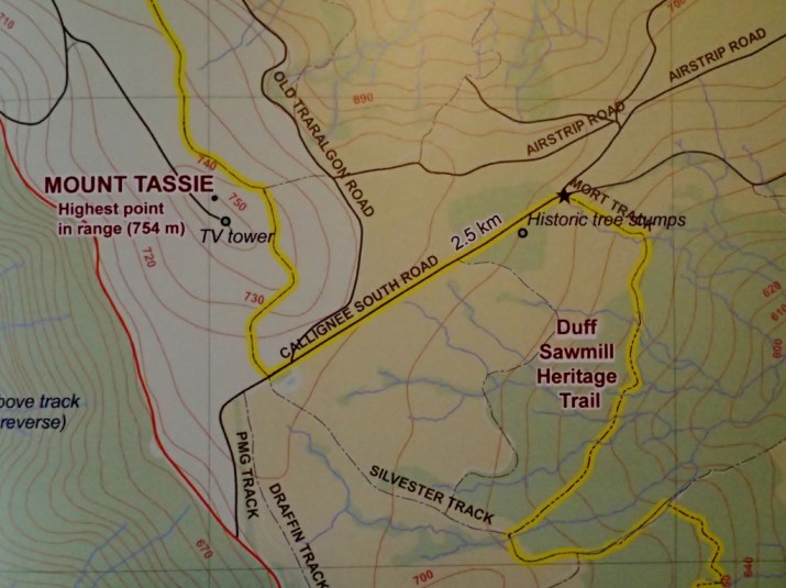 Mt Tassie Map