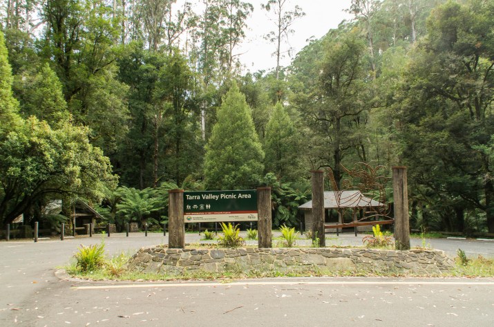 Tarra Valley Entrance