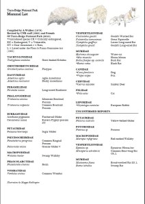 Mammal List
