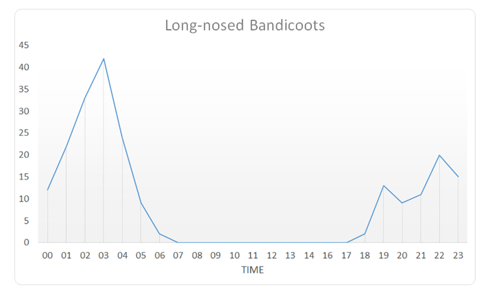 Long-nosed Bandicoots