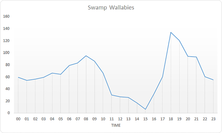 Swamp Wallabies