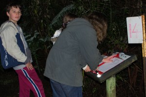 All action at one of the sites with plenty of Lyrebird calls to record.