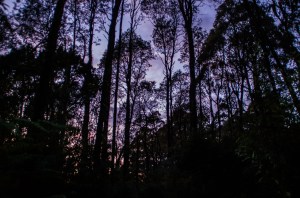 Sunrise from a monitoring site