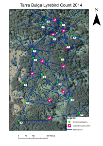 lyrebird count 2014