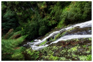 Tarra Falls (on Tarra Valley Rd)
