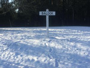 Welcome to Balook