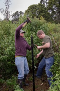 Tree guard installation