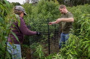Guards being carefully installed