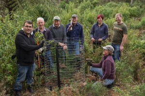 Trusty crew of volunteers