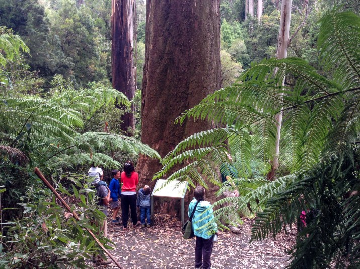 Green Walks in the Park