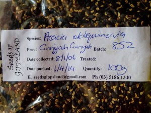 Mt Hickory Seed
