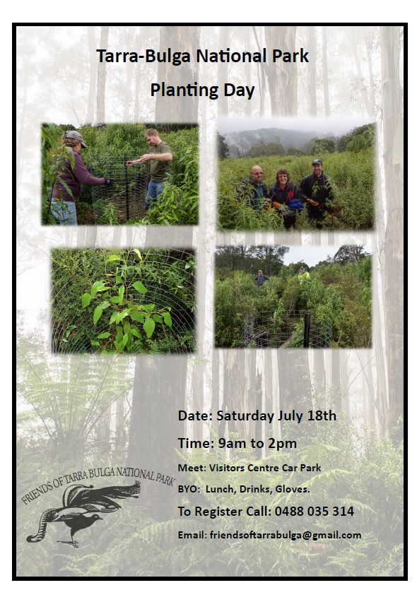 Planting Day Diaper Tk 2015