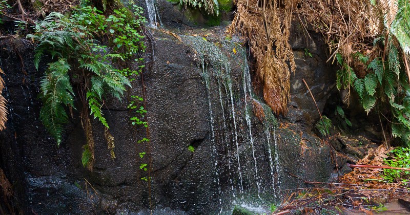 Mini Waterfall on Diaper Track