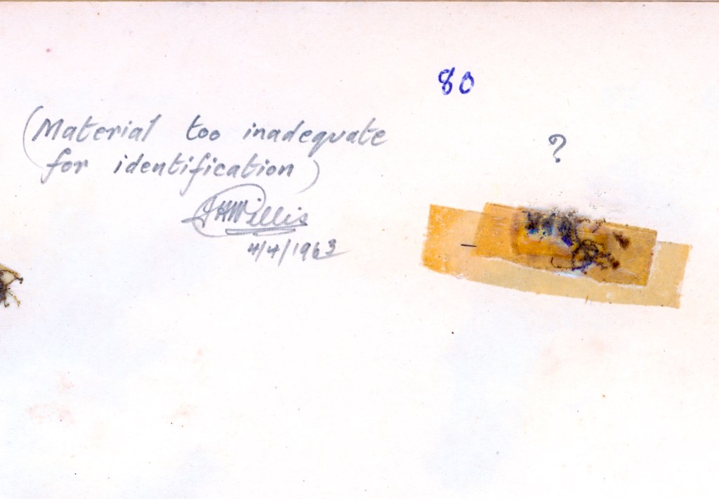 A handwritten note stating '(Material too inadequate for identification)' accompanied by a small specimen taped to a background with the date '4/4/1963' and an author's signature.